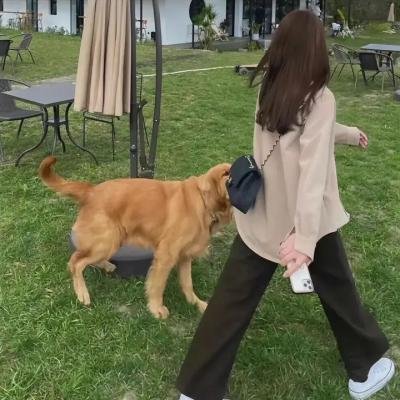 闪亮女孩