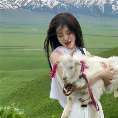 犬夜叉:红莲之蓬莱岛